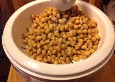 產于中國的納豆,傳到日本后被日本人發揚光大,成品只有他們敢吃