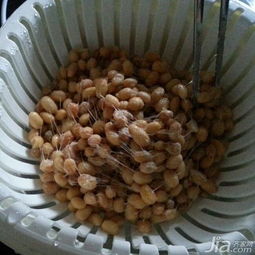 酸奶機怎么做納豆,你需要明白的是這些