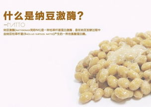 納豆激酶為什么能安全高效地溶解血栓