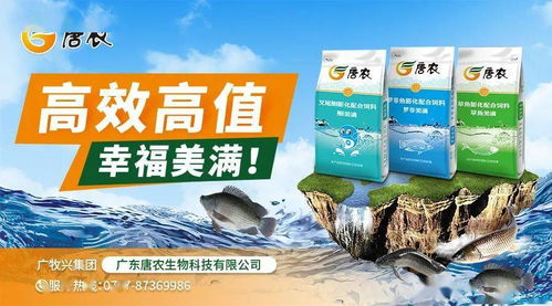 豆粕 玉米持續聯動上漲 飼料廠壓力大增 江門 佛山 茂名 海南水產料全線要漲