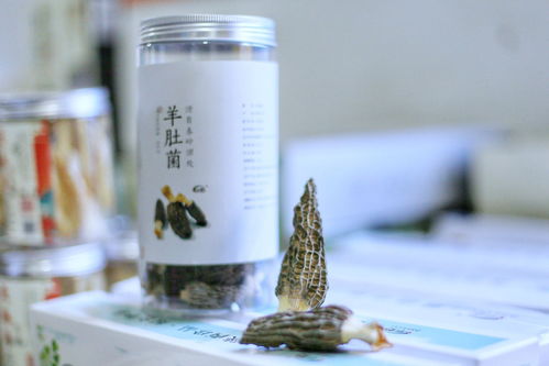 原產地探訪 選好物 賣好物 網絡扶貧 陜耀 略陽