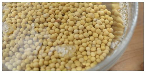 一碗黃豆,一點細菌,做成的美味納豆,一吃拉出長絲,太美味