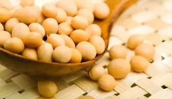 日本納豆 美容養顏,一碗納豆吃出全身健康