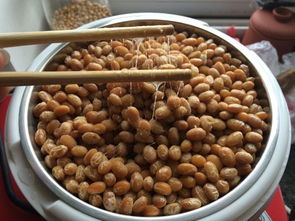 精美納豆 家常菜譜大全,納豆怎么做,納豆如何做