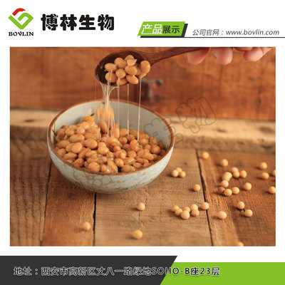 納豆紅曲,納豆,博林生物提取物