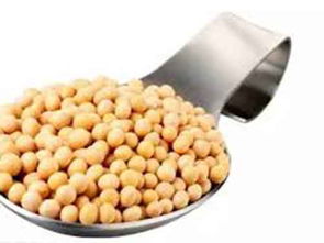 納豆激酶的功效與作用