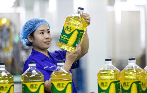 達(dá)人深入西王食品,溯源直擊工廠內(nèi)部