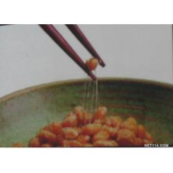 西安市酵素批發 酵素供應 酵素廠家 