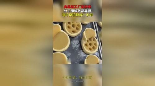 食品加工廠流水線,分工明確各司其職,每個崗位都缺一不可