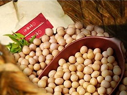 yss默的主頁 zcool