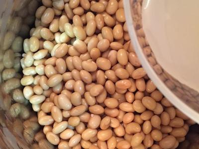 堂媽教你做納豆