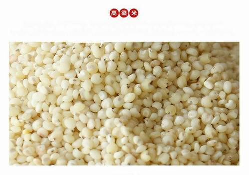 奈曼旗老哈河草原八珍禮盒 營養(yǎng)與風味的匠心臻選