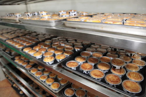 健康食品，用心經營 法浦芮食品科技新工廠正式開工，納豆新品引領營養新趨勢